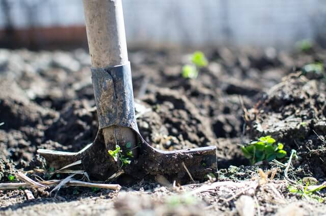 Tuinontwerp laten maken